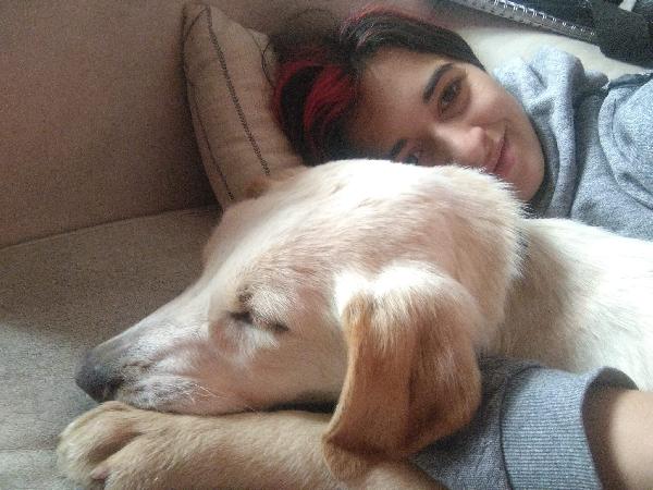 Masha Cucciola Simil Labrador Taglia Media